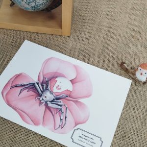 affiche naturaliste d'une araignée crabe rose posée sur une table