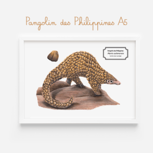 Affiche naturaliste d'un pangolin des Philippines