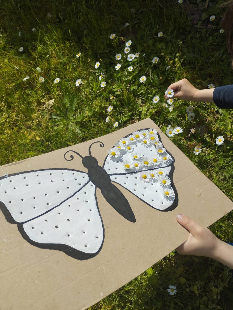 Activité papillon maternelle avec des pâquerettes pour travailler la motricité fine
