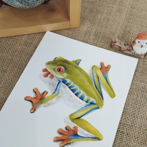 Affiche naturaliste d'une rainette aux yeux rouges
