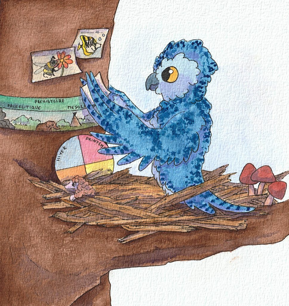 illustration représentant l'ensemble de nos kits pédagogiques