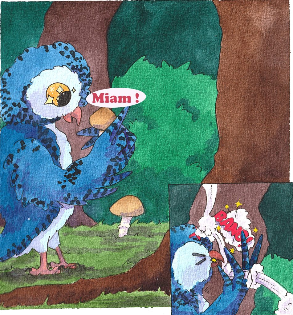 BD de prévention sur les champignons
