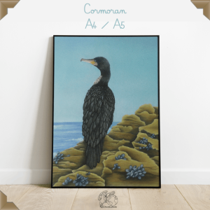 Affiche cormoran A4/A5