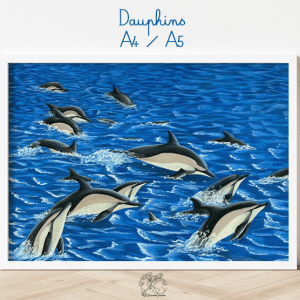 Affiche dauphins A4/A5