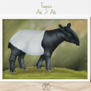 Affiche tapir A5