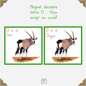 Magnet oryx