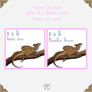 Magnet basilic brun