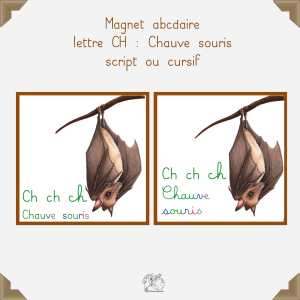 Magnet chauve souris