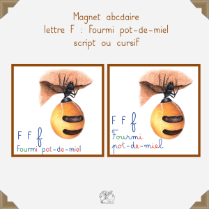 Magnet fourmi pot-de-miel
