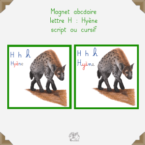 Magnet hyène