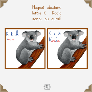 Magnet koala