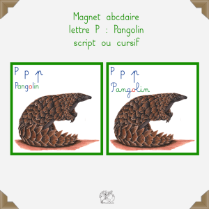 Magnet pangolin