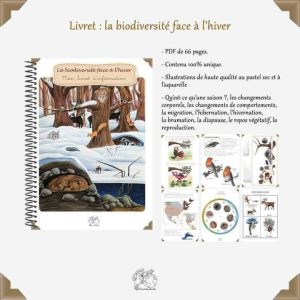 Les animaux en hiver, un PDF illustré pour comprendre la nature en saison froide