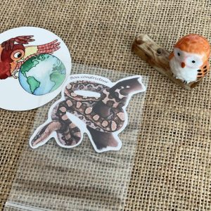 Sticker naturaliste, le boa constricteur