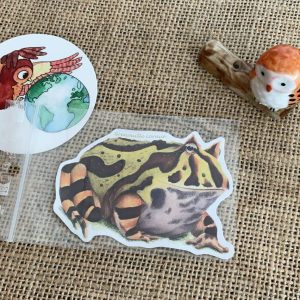 Sticker naturaliste, la grenouille cornue