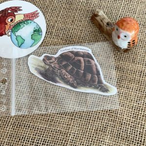 Sticker naturaliste, la tortue d'Hermann