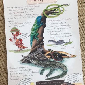 Affiche éducative les reptiles. Une planche éducative