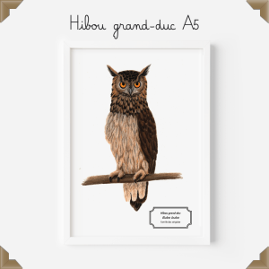 Affiche naturaliste – hibou grand-duc