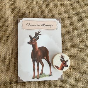 Kit éducatif, le chevreuil d'Europe