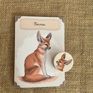 Kit éducatif, le fennec