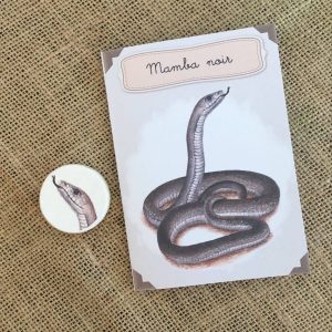 Kit éducatif, le mamba noir