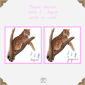 Magnet jaguar