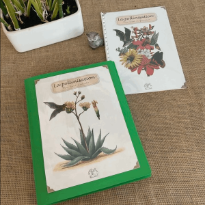 La pollinisation expliquée aux enfants. PDFs informations + activités
