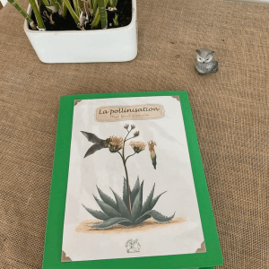 livret d'activités PDF, LA POLLINISATION